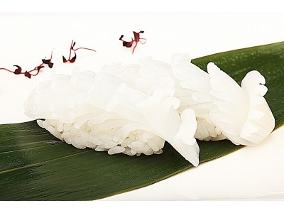 SQUID (Nigiri or Sashimi)